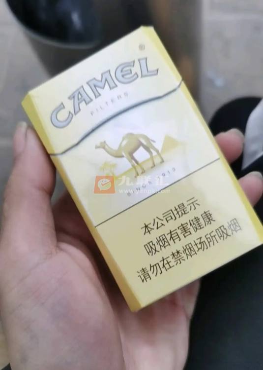 骆驼(硬新版)相册 94743_79903