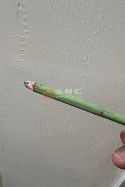 卡比龙(总裁抹茶绿亚太版)相册 114984_64786