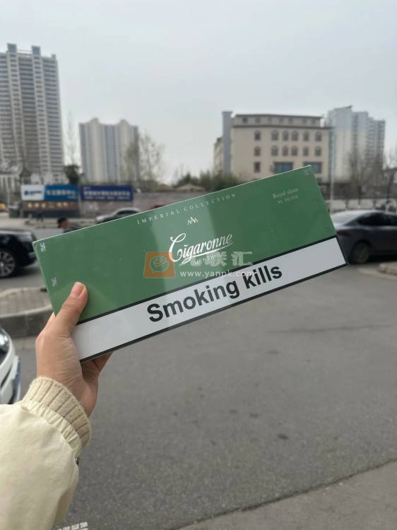 卡比龙(总裁抹茶绿亚太版)相册 114984_67521