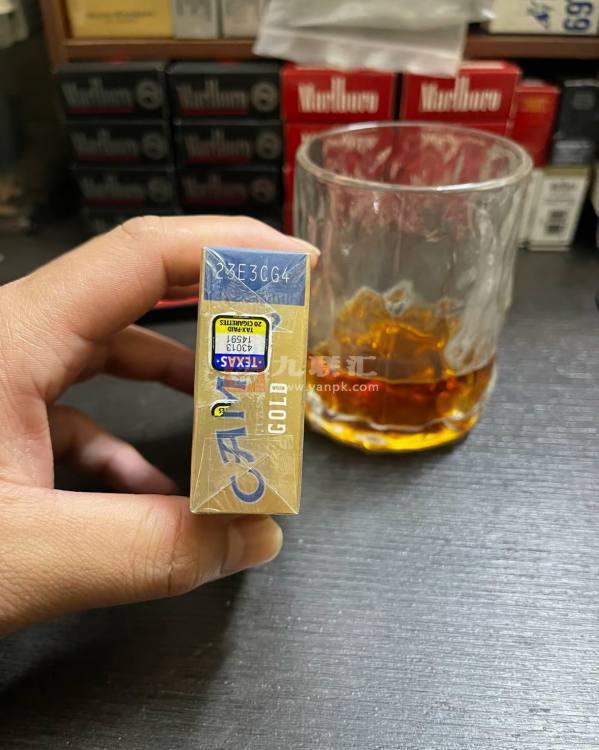 骆驼(硬金美税版)相册 115124_11713