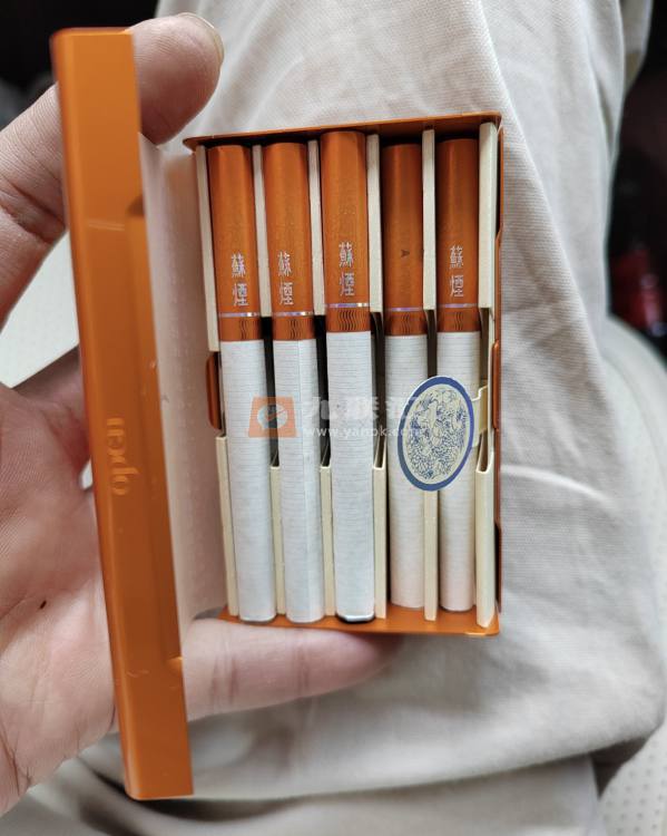 苏烟(铂晶)相册 1142_37045