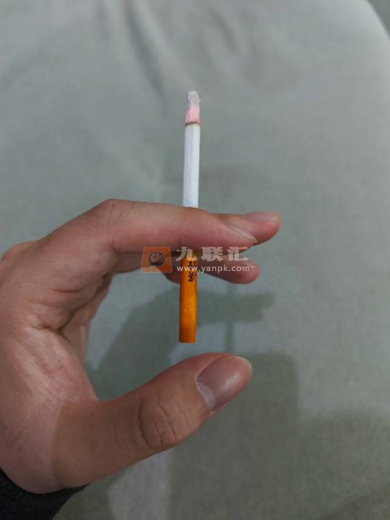 贵烟跨越相册 92796_40020