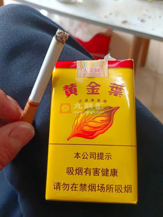 黄金叶(软大金圆)相册 291_68601