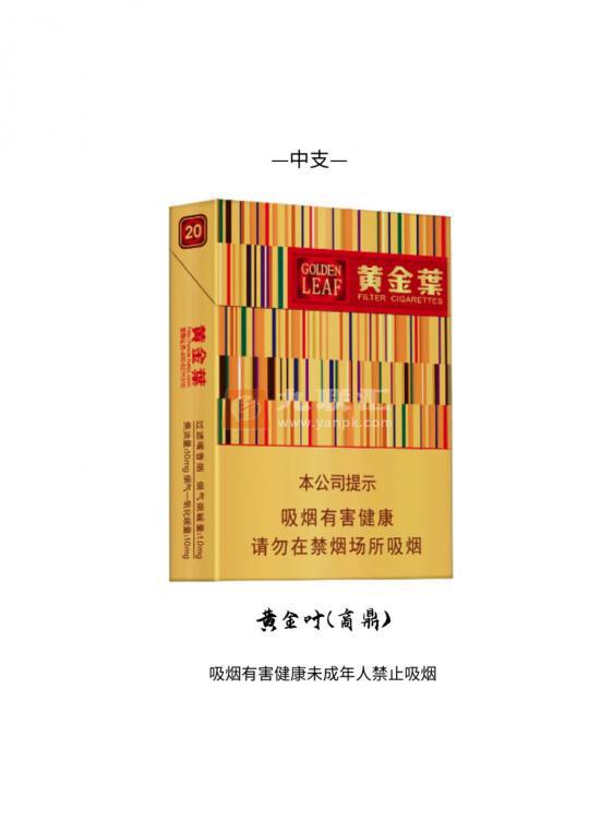 黄金叶(黄金中支)相册 94078_13111