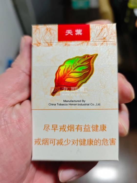 黄金叶(天叶)相册 290_39207