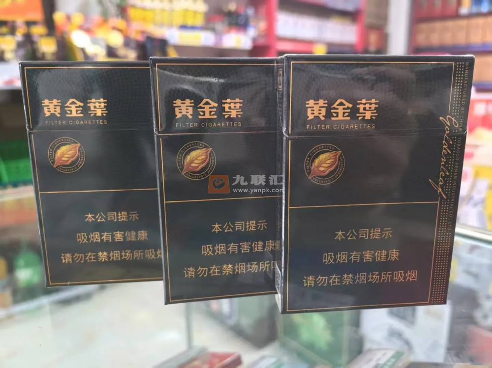 黄金叶(蓝调中支)相册 94955_15979