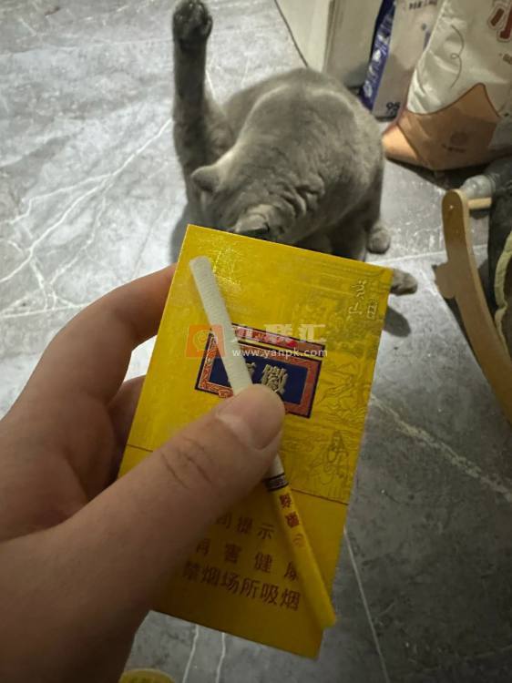 黄山(徽商新概念细支)