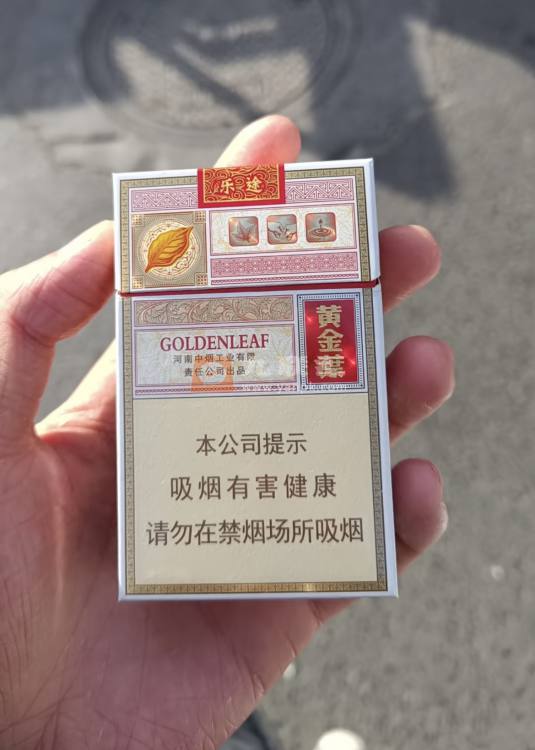 黄金叶(硬乐途)相册 97878_79529