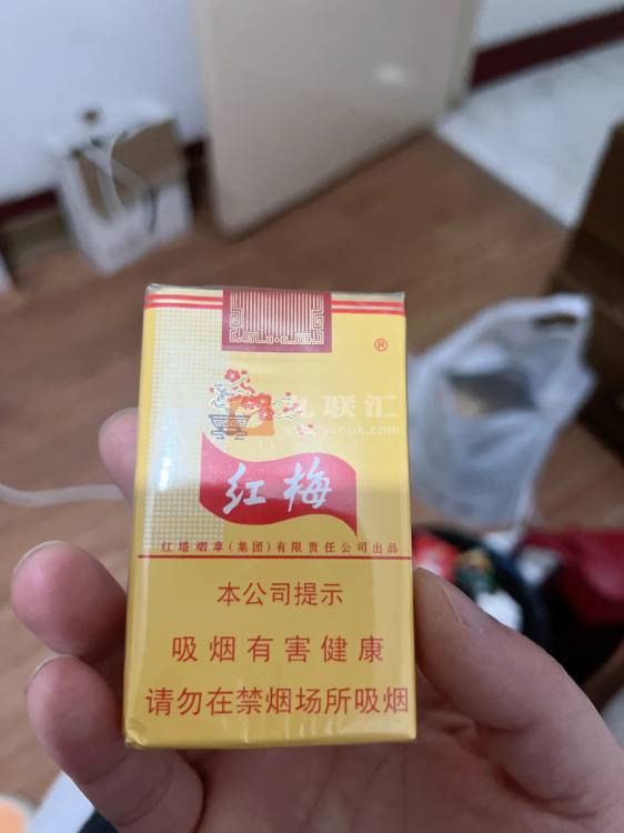 红梅(软黄)相册 333_86536