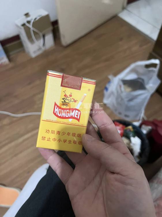 红梅(软黄)相册 333_32442