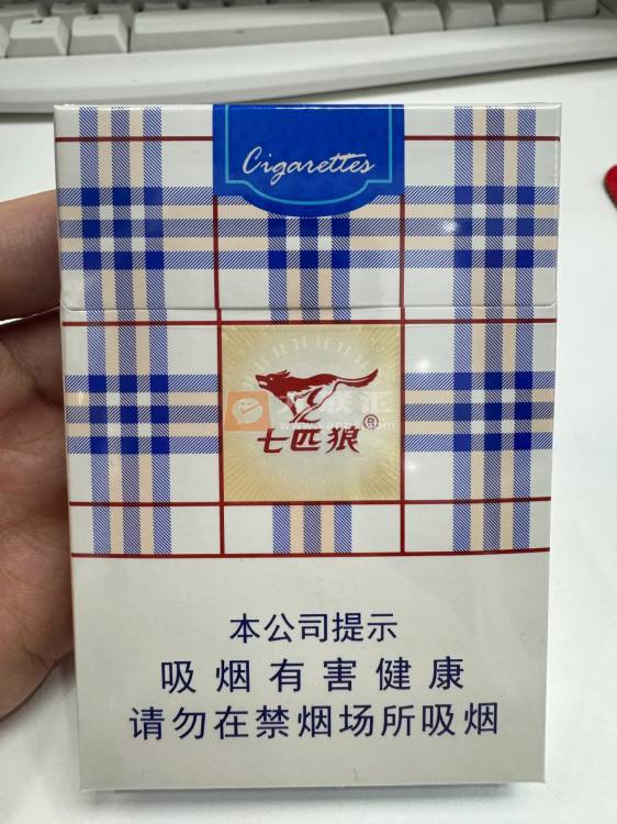 七匹狼(蓝带中支)相册 94104_36570