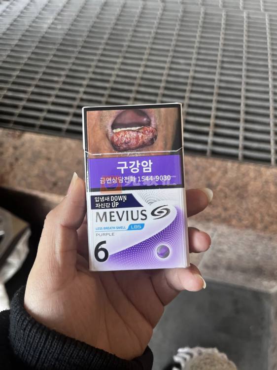 梅比乌斯(蓝莓6mg韩版)相册 115015_34614