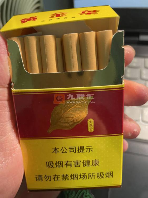 黄金叶(金满堂)相册 297_95215