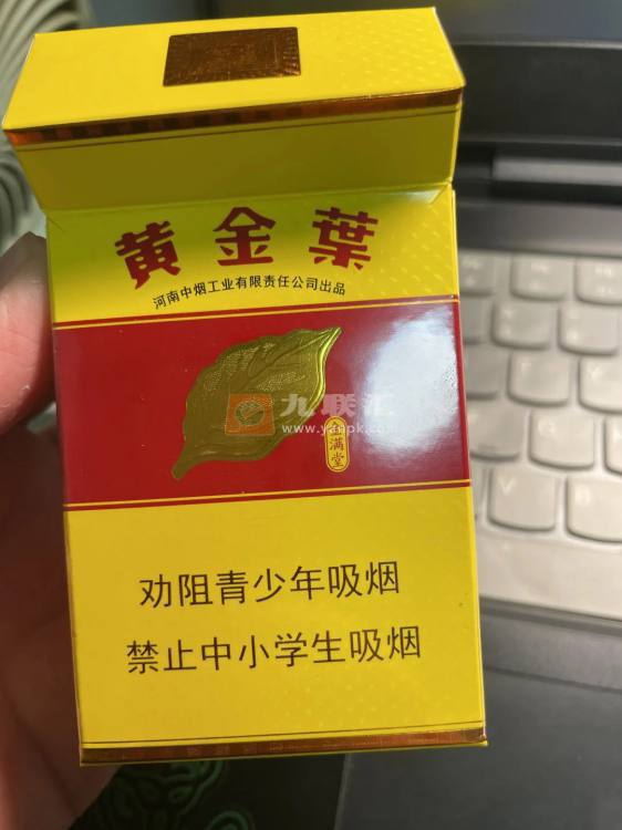 黄金叶(金满堂)相册 297_61880