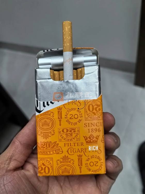 契斯特菲尔德(硬橙摩洛哥版)相册 106630_95630