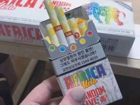 铁塔猫(象之谜韩免版)