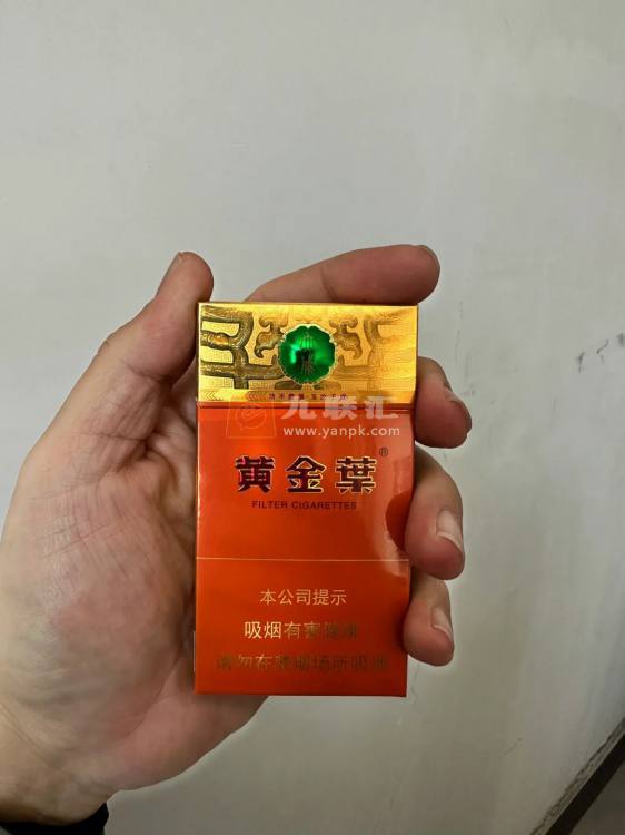 黄金叶(大成细支)相册 114973_93765