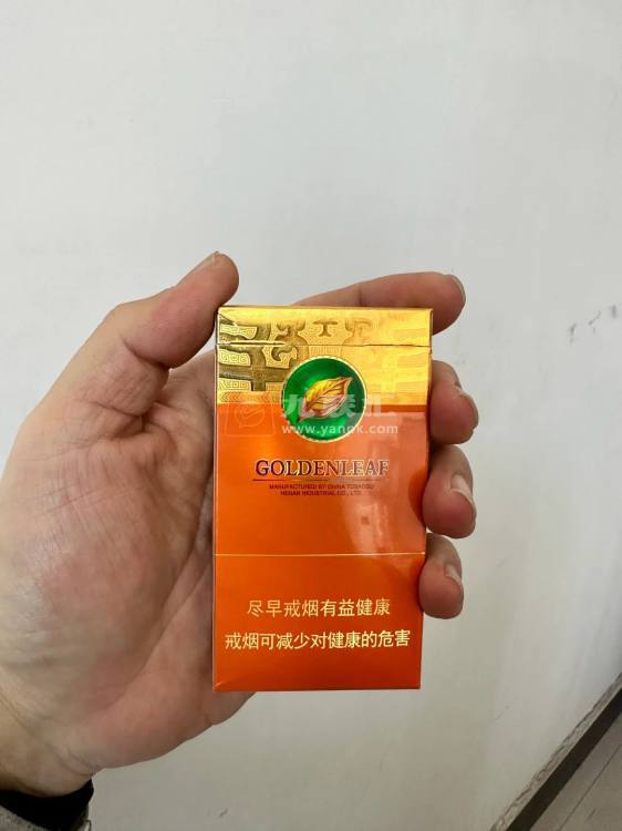 黄金叶(大成细支)相册 114973_54299