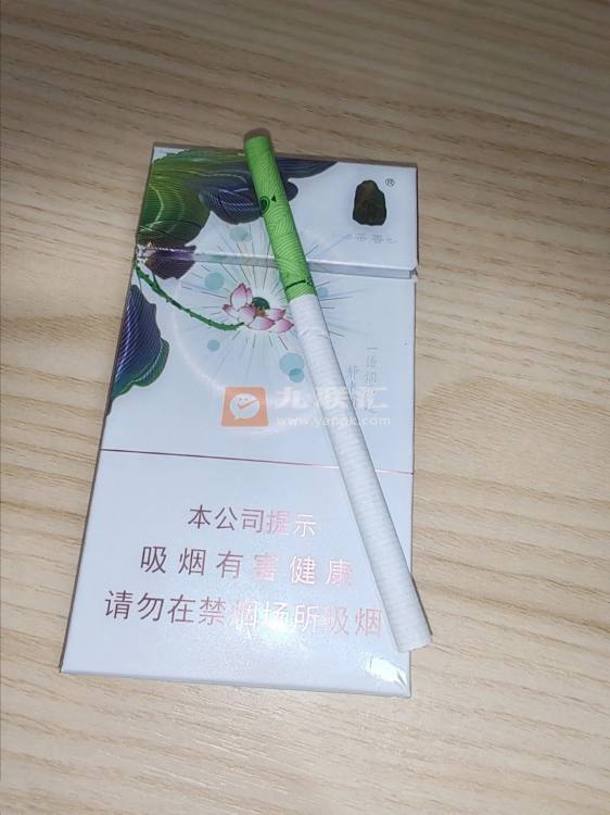 泰山(茉莉香韵)相册 93954_90046