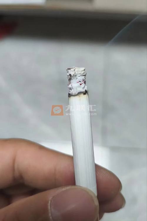 云烟(软大重九)相册 1483_11436