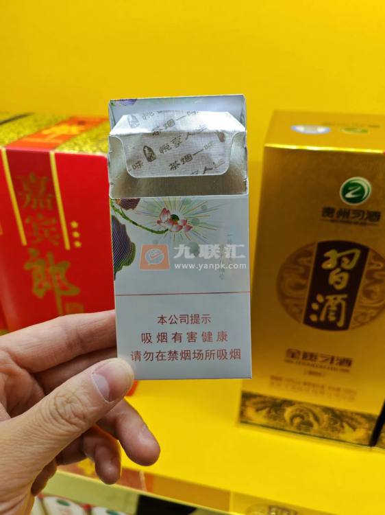 泰山(茶香)相册 93355_19124