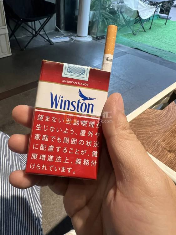 云斯顿(红软日版)相册 94333_43576