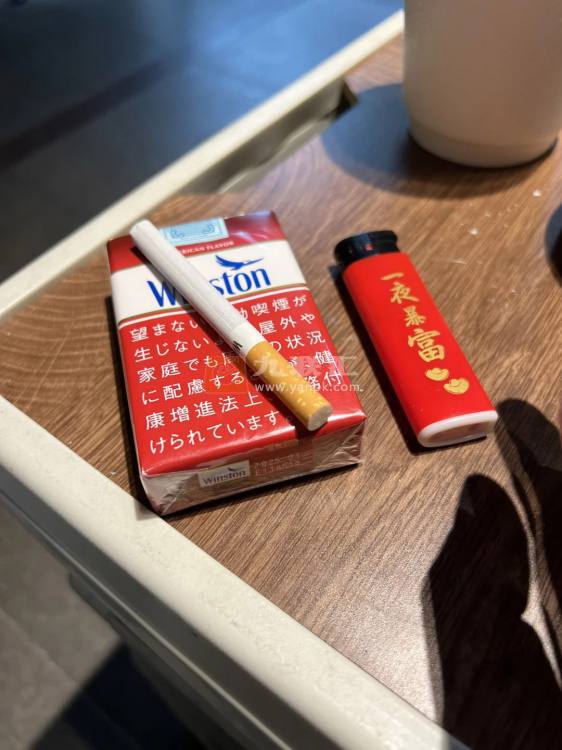 云斯顿(红软日版)相册 94333_80974