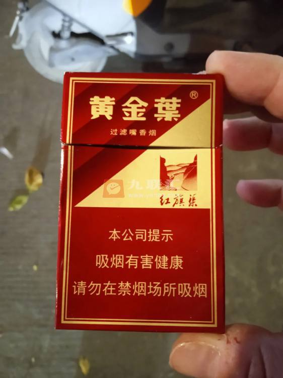 黄金叶(硬红旗渠)相册 299_72256