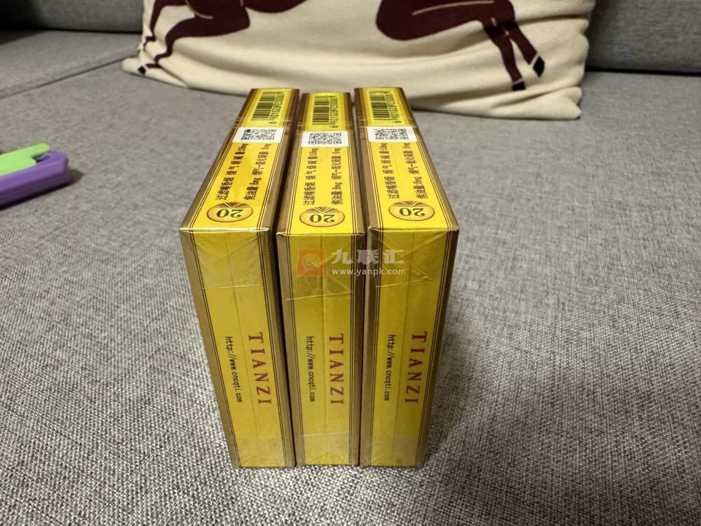 天子(黄中支)相册 106237_92087