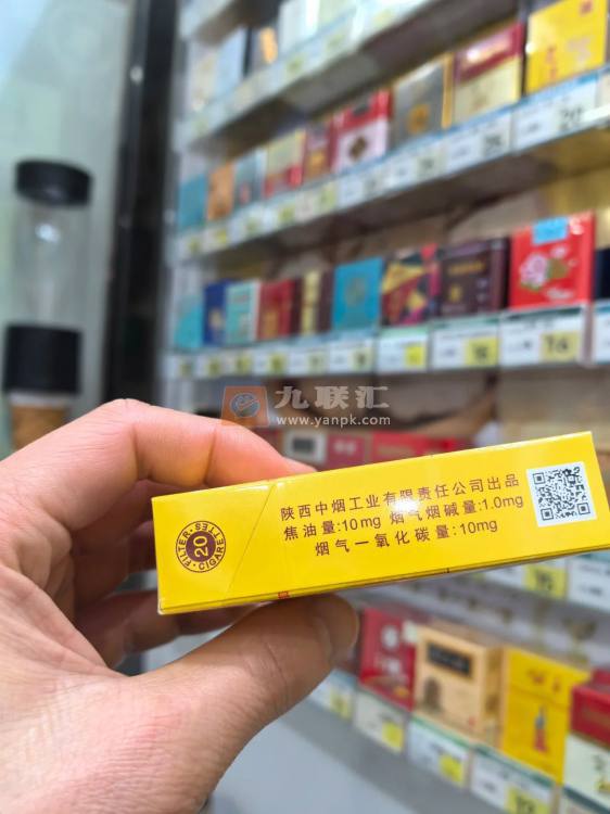 延安(公主)相册 93732_59183