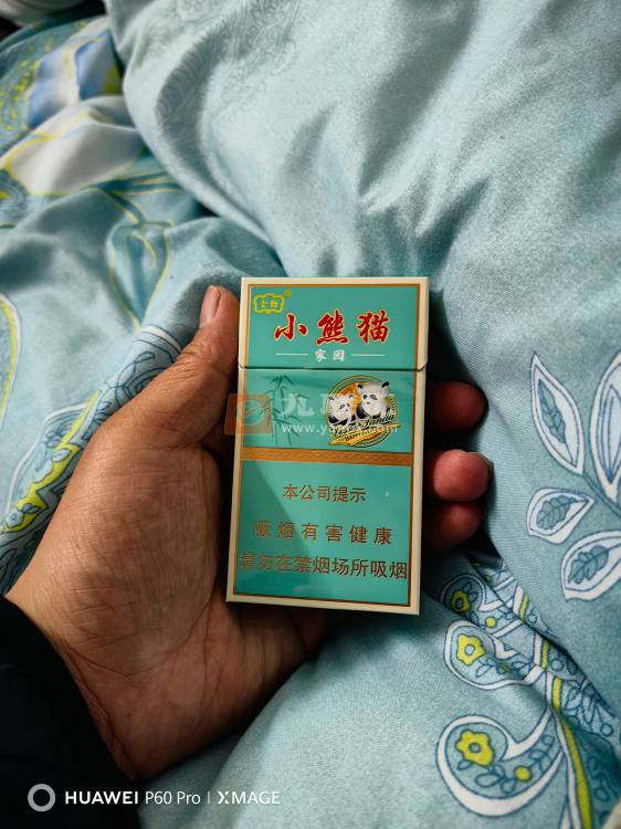 云烟(小熊猫家园)相册 93768_61775