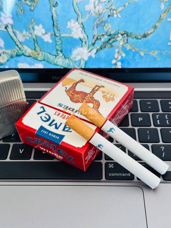 骆驼(硬黄宽版美税)相册 101504_20439