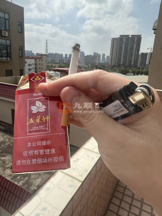 双喜(软红五叶神)相册 2367_17424