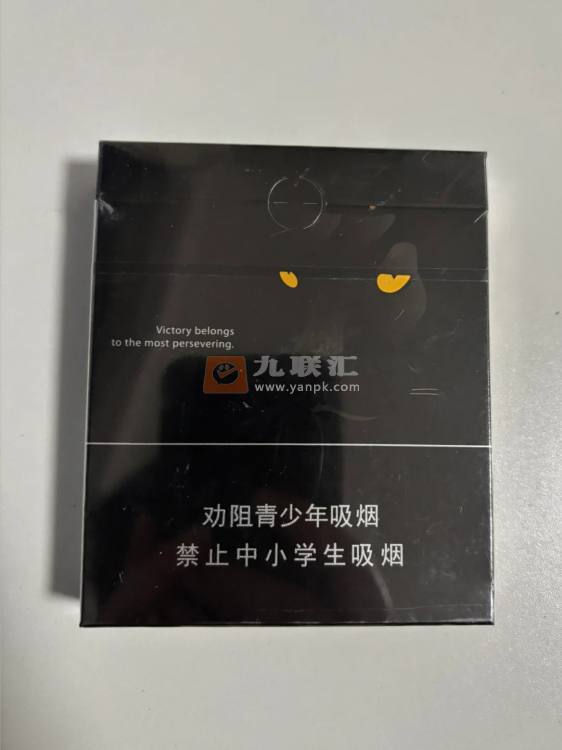 泰山黑豹相册 92625_63780