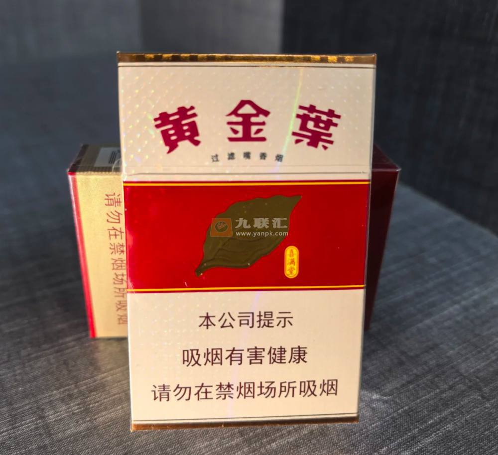 龙儿发布的点评-龙儿的九联汇个人空间