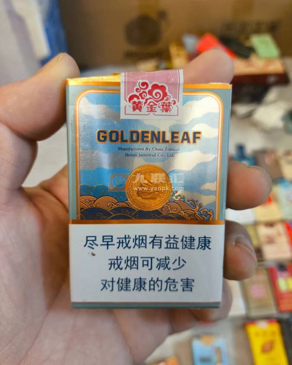 黄金叶(一帆风顺)相册 93689_74978