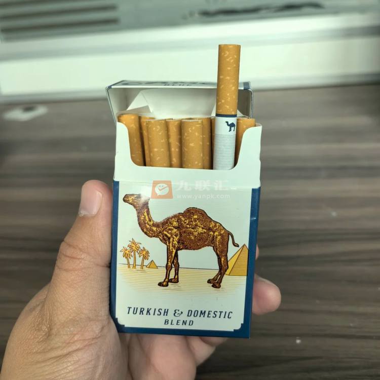 骆驼(硬蓝美免)相册 95292_66942