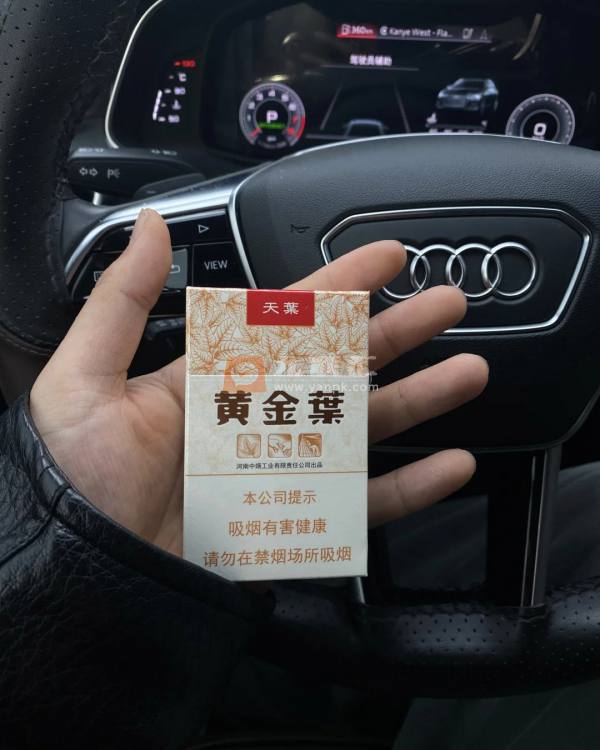 黄金叶(天叶)相册 290_48559