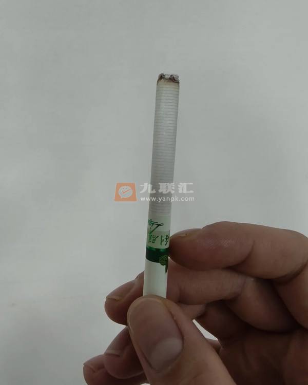 利群(薄荷)相册 3137_46724