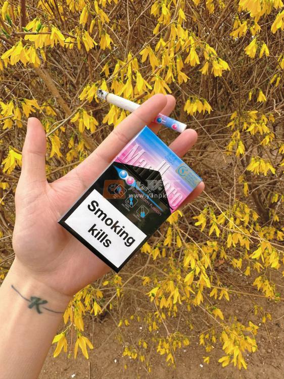 万宝路(樱花爆珠亚太版)相册 114854_47295