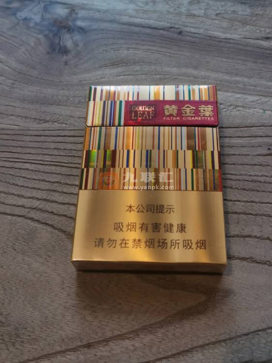 黄金叶(黄金中支)相册 94078_70073