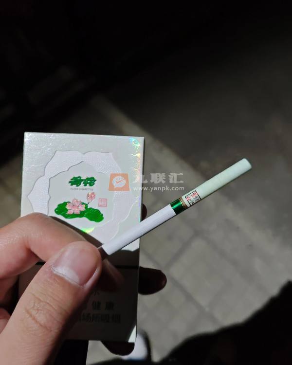 荷花绿水青山相册 93771_20280