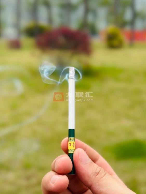 双喜(春天细支)相册 94925_94185