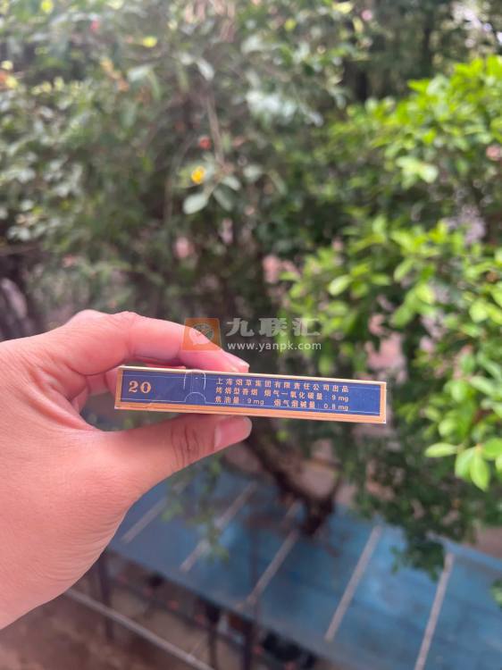 牡丹(蓝中支)相册 94909_64363