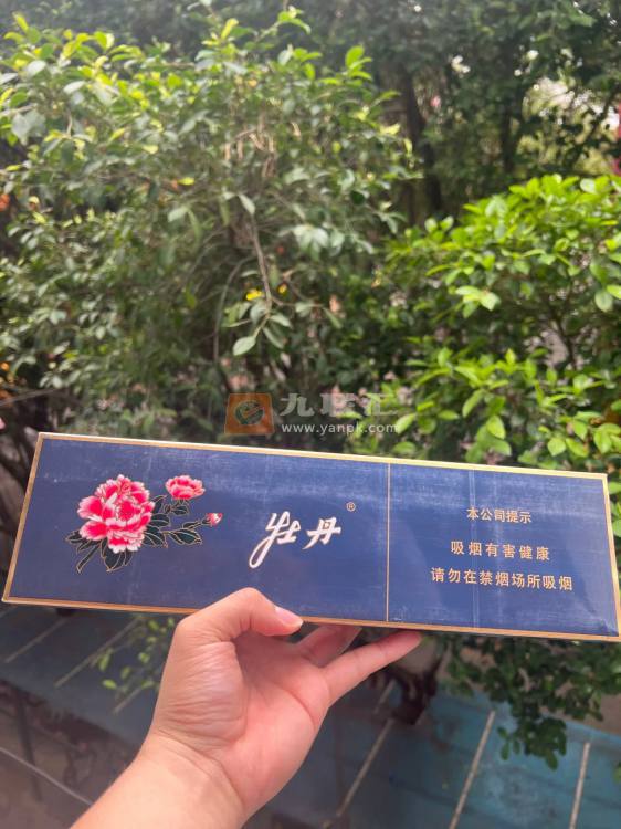 牡丹(蓝中支)相册 94909_49567