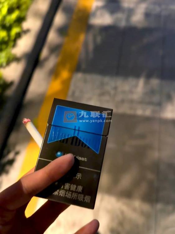 万宝路(硬冰爵)相册 5732_86324