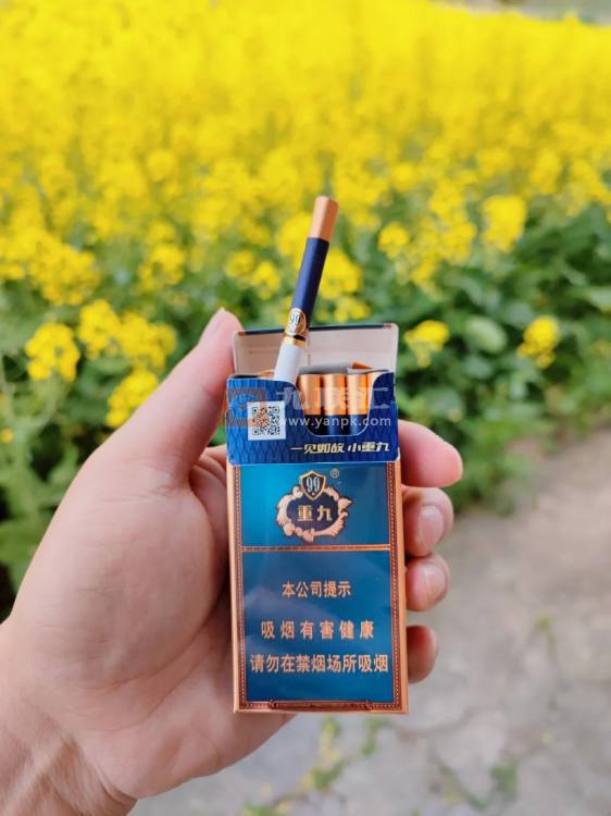 云烟(中支小重九)相册 106494_81199