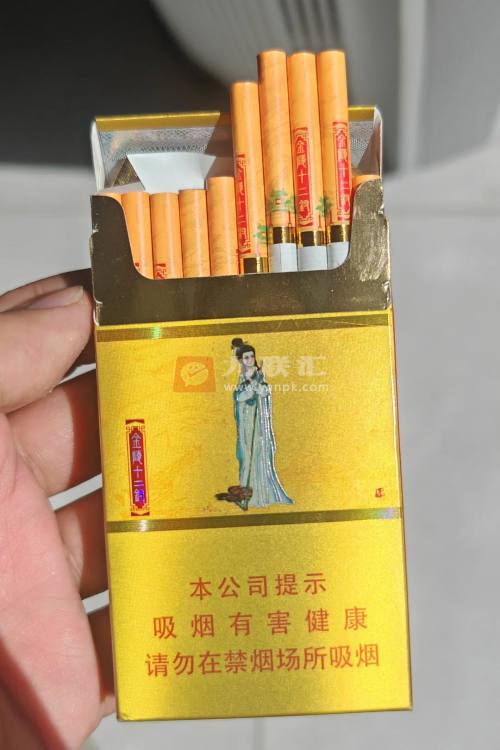 南京(金陵十二钗烤烟)相册 1107_13279