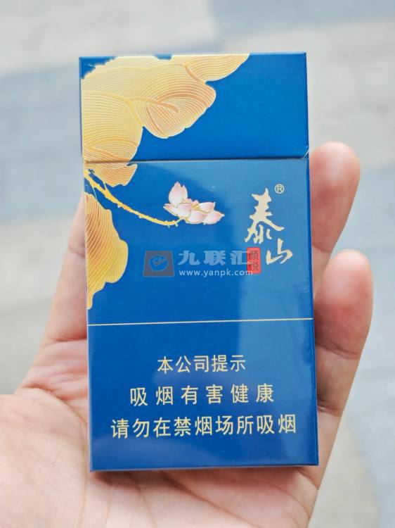 泰山(蓝颜悦)相册 93224_95913