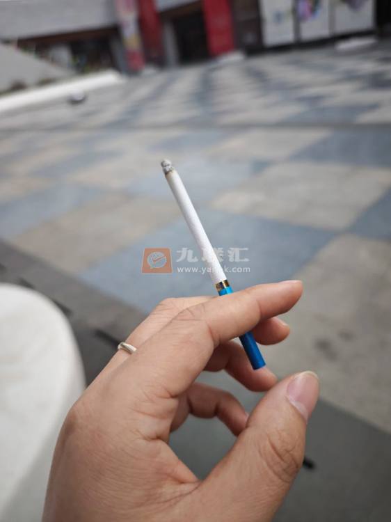 泰山(蓝颜悦)相册 93224_55475